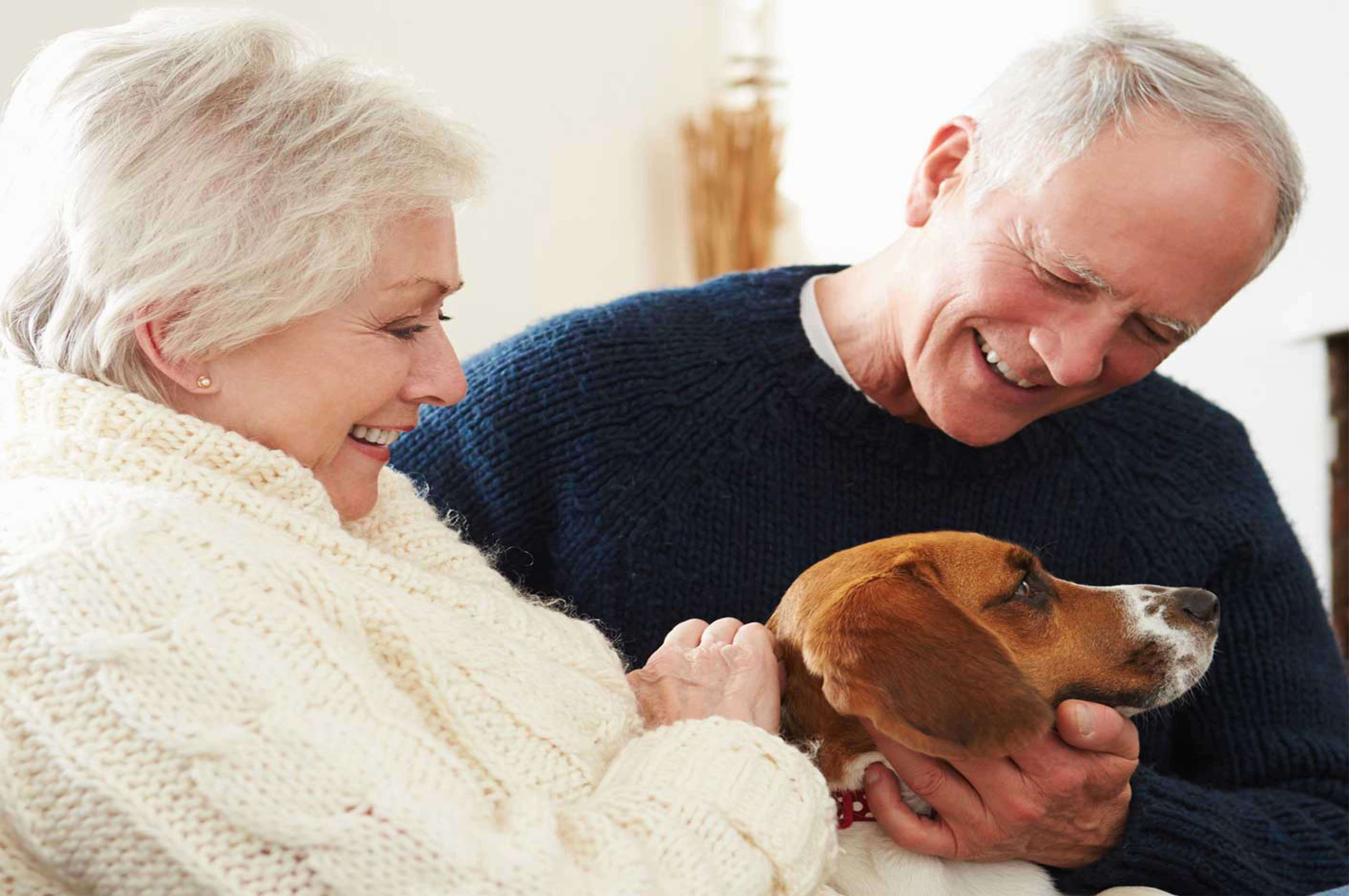 Pet-friendly living at La Villa Lake Apartments